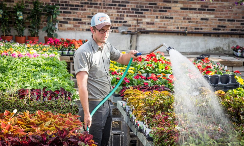 Meet Nathan Fasel Of Fasel And Sons Garden Center In Oak Lawn