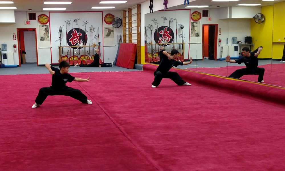 Meet Kaifei Song of Soaring Eagle Kung fu in Palatine Voyage Chicago