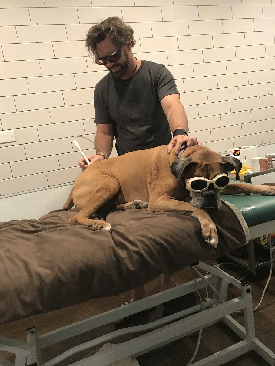 Meet Ursula Sanchez of Bucktown Bow & Meow Voyage Chicago Chicago