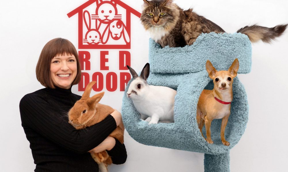 Meet Toni Greetis Of Red Door Animal Shelter Voyage