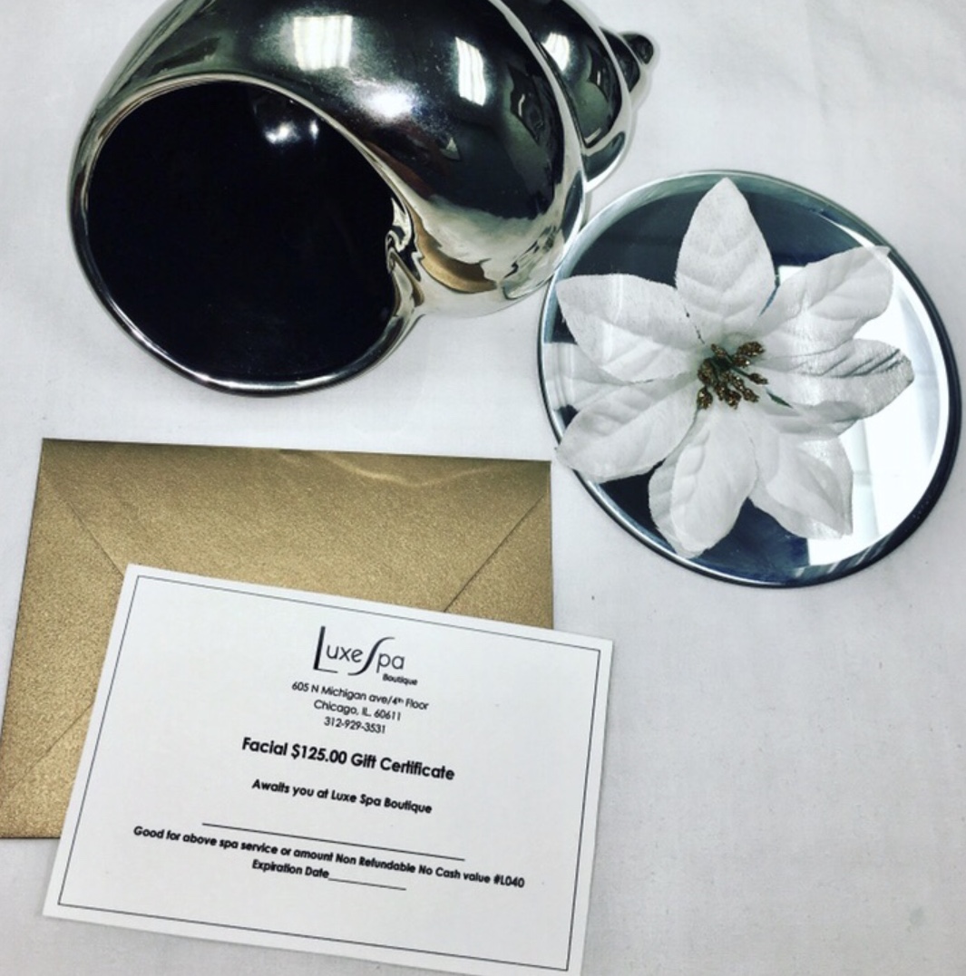 Life and Work with Yana Manukyan Voyage Chicago Chicago City Guide