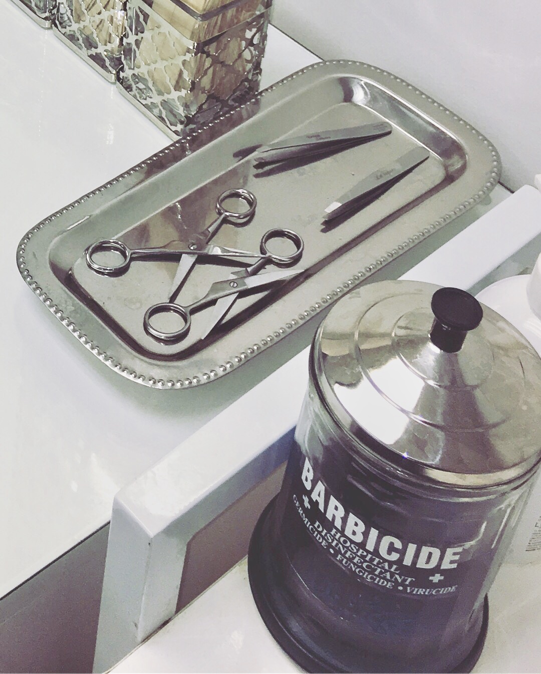 Life and Work with Yana Manukyan Voyage Chicago Chicago City Guide