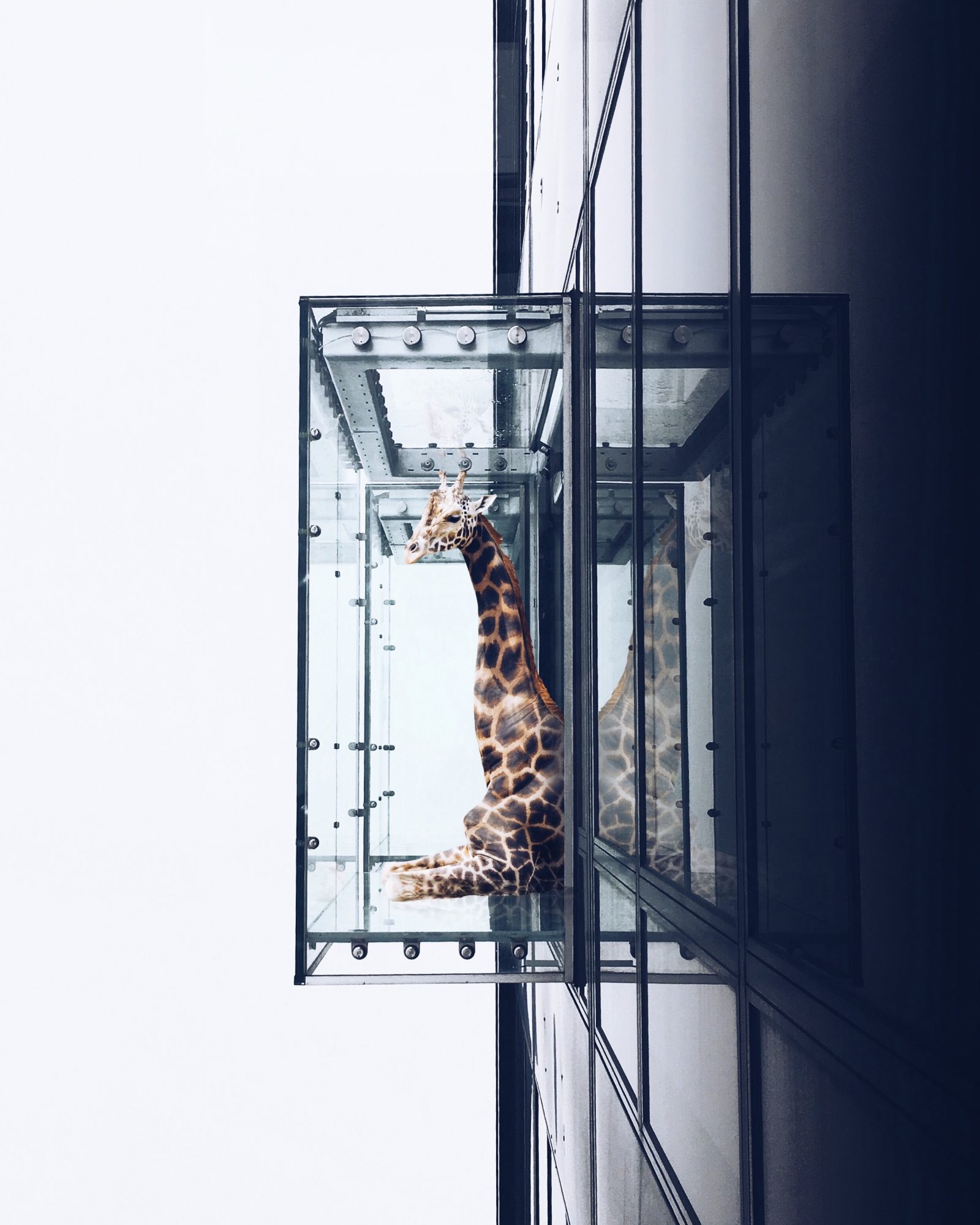 Art & Life with Elise Swopes - Voyage Chicago | Chicago City Guide